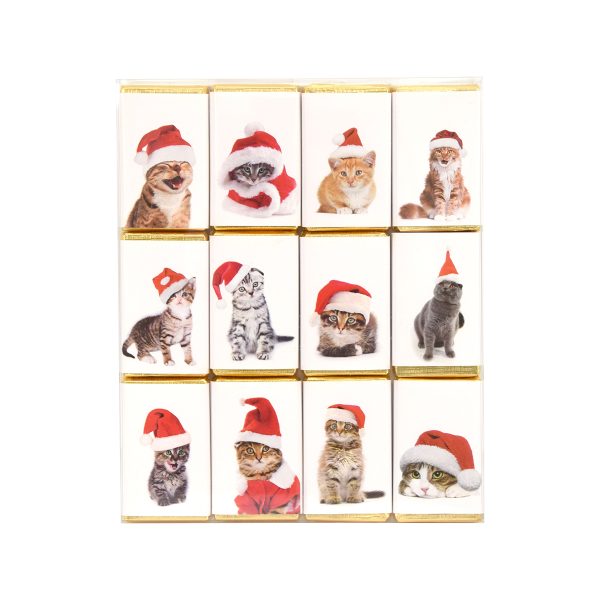 Christmas Cats in Hats Slims